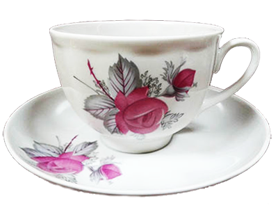 Чашка с блюдцем чайная Рубин "Дикая роза"